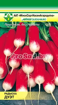 Редис Дуэт (Германия)