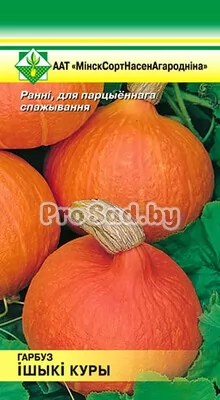 Тыква Ишики Кури