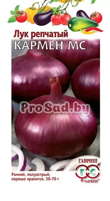 Лук репчатый Кармен МС