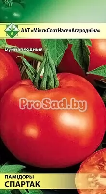 Томат Спартак