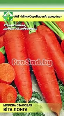 Морковь Вита Лонга (Голландия)