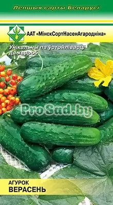 Огурец Верасень