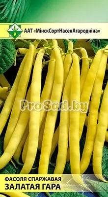Фасоль овощная (спаржевая) Золотая гора