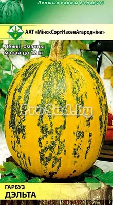 Тыква Дельта