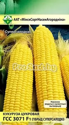 Кукуруза сахарная F1 ГСС 3071
