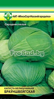 Капуста белокочанная Брауншвейгская