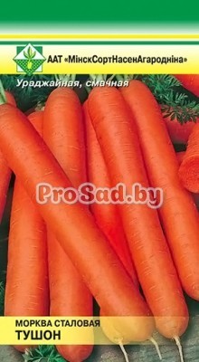 Морковь Тушон (Германия)
