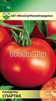 Томат Спартак