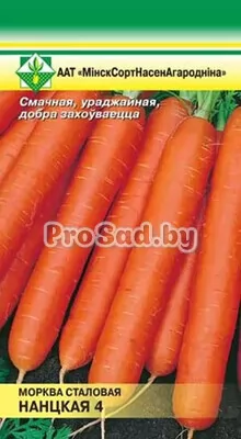 Морковь столовая Нантская 4