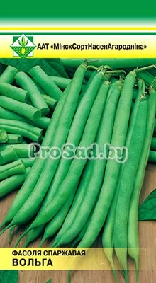 Фасоль (спаржевая) Ольга