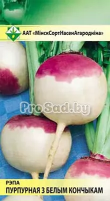 Репа Пурпурная с белым кончиком