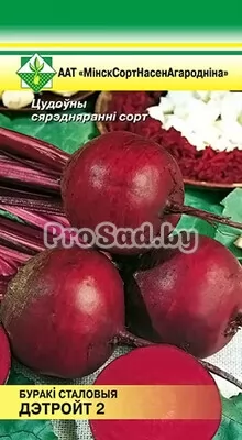 Свекла столовая Детройт 2 Неро