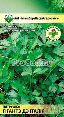 Петрушка Гиганте де Италия