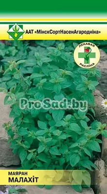 Майоран Малахит