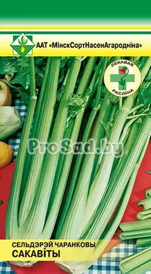 Сельдерей черешковый Сочный