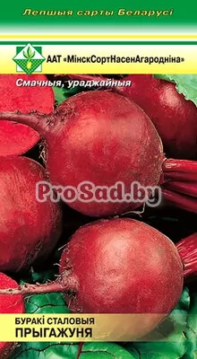 Свекла столовая Прыгажуня