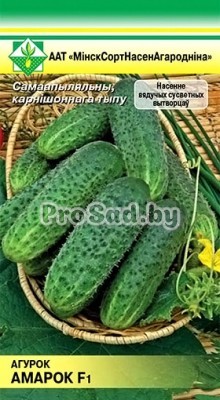 Огурец F1 Амарок (Голландия)