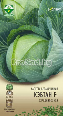 Капуста белокочанная F1 Кэбтон (Голландия)