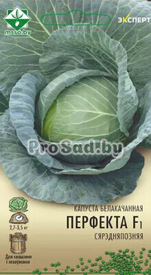 Капуста белокочанная F1 Перфекта