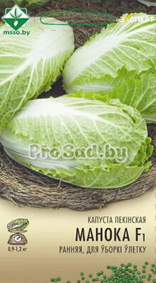 Капуста пекинская F1 Маноко