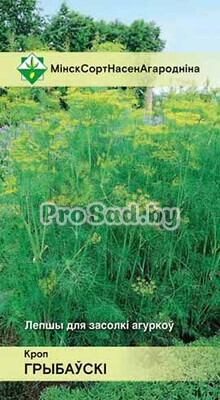 Укроп Грибовский