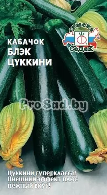 Кабачок Блэк цуккини