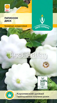 Патиссон Диск