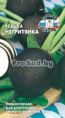 Редька Негритянка