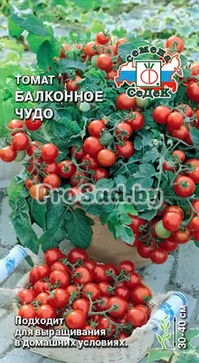 Томат Балконное чудо