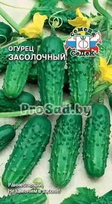 Огурец Засолочный