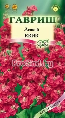 Левкой (Маттиола) Квик