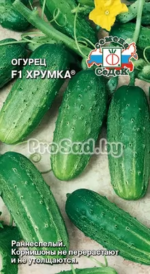 Огурец F1 Хрумка