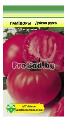 ТОМАТ Дикая роза