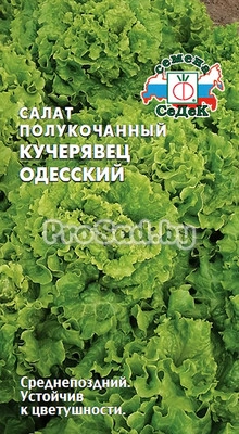 Салат полукочанный Кучерявец одесский