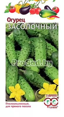 Огурец Засолочный