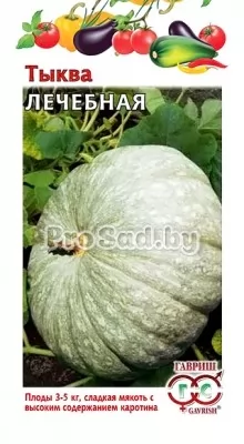 Тыква Лечебная