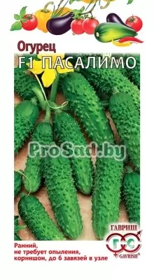 Огурец-корнишон F1 Пасалимо (Голландия)
