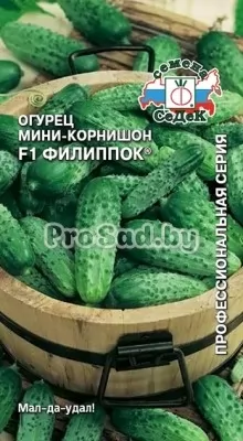 Огурец мини-корнишон F1 Филиппок