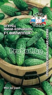 Огурец мини-корнишон F1 Филиппок