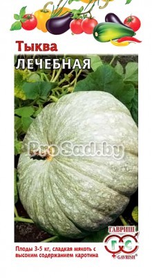 Тыква Лечебная