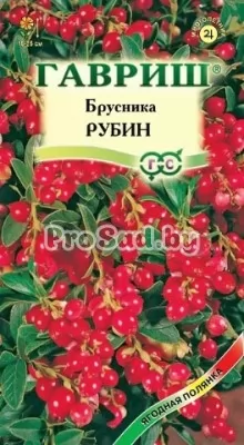 Брусника Рубин