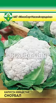 Капуста цветная Сноуболл