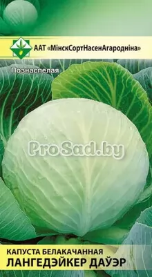 Капуста белокочанная Лангедейкер дауэр