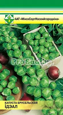 Капуста брюссельская Идеал