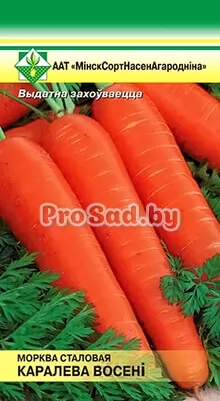 Морковь Королева осени