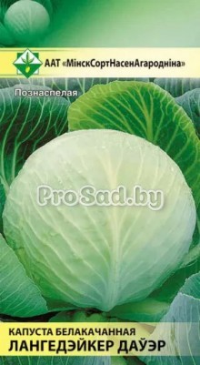 Капуста белокочанная Лангедейкер дауэр