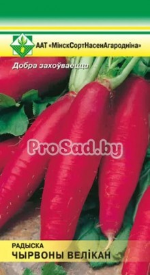 Редис Чырвоны велікан / Красный великан