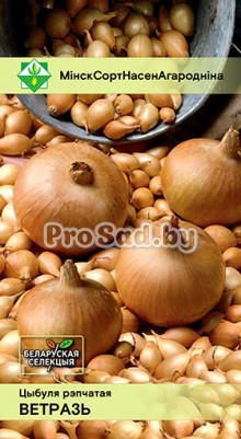 Лук репчатый Ветразь