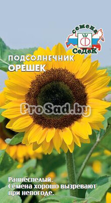 Подсолнечник Орешек