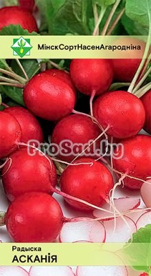 Редис Аскания (Германия)